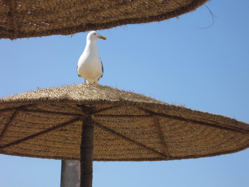 Hotel Riad Ben Atar Szavíra Kültér fotó